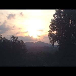 Meet your Posher, Jane